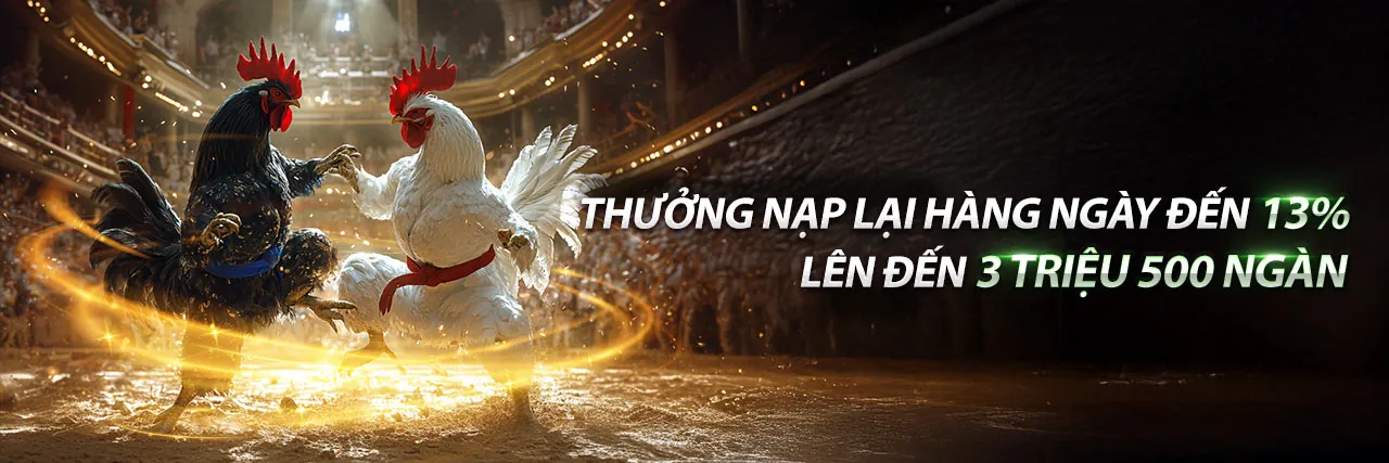 Đá gà trực tiếp tại Sovip Link Mới 2026